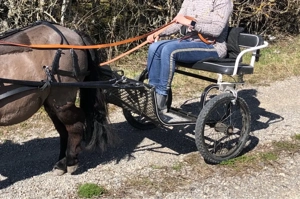 Shetty-Kutsche   Sulky