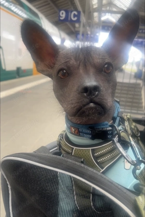 Charlie sucht schweren Herzens 