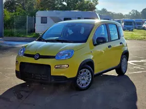 Fiat Panda Pandina Mild Hybrid 1.0 Klima PDC sofort Ver