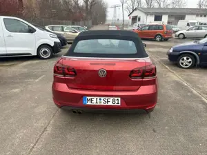 Volkswagen Golf Cabriolet Life Xenon PDC SHZ Navigation 8 fach Bereifung Bild 5
