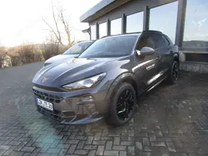 CUPRA Terramar VZ 2.0 TSI 195 kW (265 PS) 7-Gang DSG 4Drive