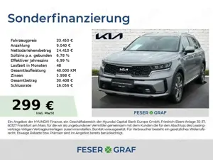 Kia Sorento 2.2D DCT8 SPIRIT NAVI PDCs LEDER AHK