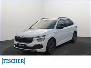 Skoda Kamiq 1.0TSI DSG Tour Matrix AHK Navi Rear View ACC