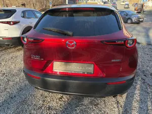 Mazda CX-30 SKYACTIV-G 2.0 M Hybrid Bild 3