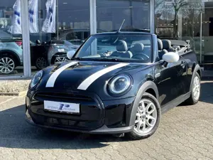 MINI Cooper Cabrio Aut. Classic Trim CarPlay Kamera SHZ DAB