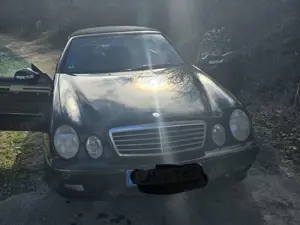 Mercedes-Benz CLK 200 TÜV NEU! CLK-Klasse Cabrio Kompressor Avantgarde