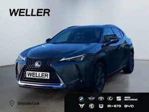 Lexus UX 250h Executive Line *HUD*Leder*GSD*CAM*el Heck*