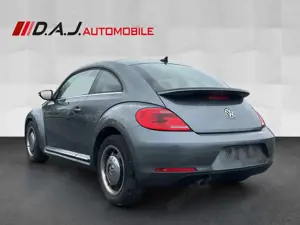 Volkswagen Beetle 2.0 TDI Design /Klimaaut Pano SHZ PDC NAV Bild 3