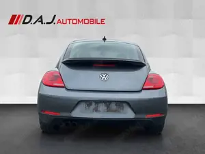 Volkswagen Beetle 2.0 TDI Design /Klimaaut Pano SHZ PDC NAV Bild 4