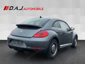 Volkswagen Beetle 2.0 TDI Design /Klimaaut Pano SHZ PDC NAV Bild 5