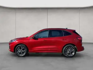 Ford Kuga 2.5 Duratec PHEV ST-LINE X TECHNO-PAKET Bild 3