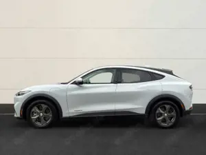 Ford Mustang Mach-E Basis ACC+Klima+Navi+Winter-Paket+DAB+LED Bild 2