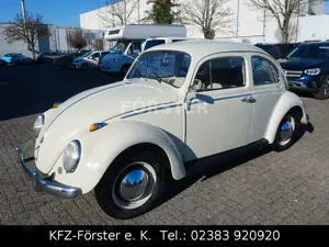 Volkswagen Käfer