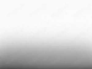 CUPRA Terramar 1.5 eTSI DSG EDGE|DigitalDrive|PurePerformance Bild 5