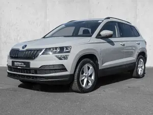 Skoda Karoq Bild 2