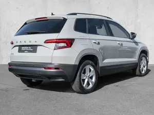 Skoda Karoq Bild 4