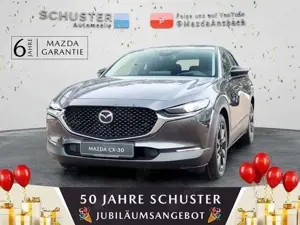 Mazda CX-30 Homura 2.5l Automatik Navi/Head-Up/LED-Lic