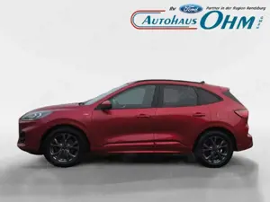 Ford Kuga ST-Line X 2.0 EcoBlue - AHK - BO - RFK - GJR - Bild 5