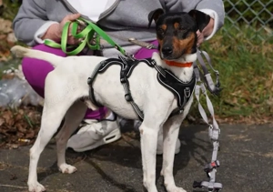 Endlich ankommen   Pitufo sucht seine Familie