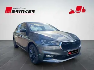 Skoda Fabia Tour 1.0 TSI DSG -Winter-Navi-Kamera