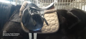 Sattel gestohlen! Stübben Siegfried VSD zweifarbig 