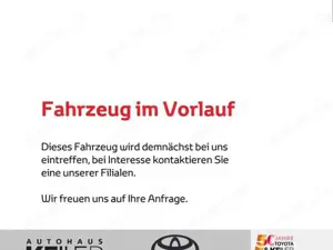 Toyota RAV 4 Hybrid 4x4 Team Deutschland