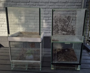 gebrauchte Terrarien für Vogelspinnen  Bild 2