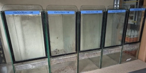 gebrauchte Terrarien für Vogelspinnen 