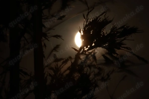 Tantrische Nachtmassage bis zum 14ten in Mannheim!