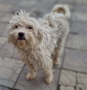 Emma sucht eine liebevolle Familie