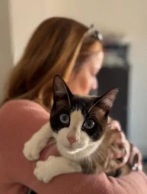 Charmeur Jerry (ALO)