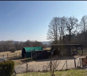 Biete Offenstallplatz Einstellplatz vom Privatanbieter