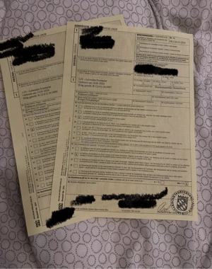 Graupapageien Babys beide weiblich 