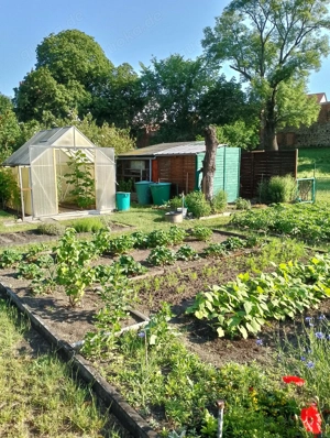 Pachtgarten mit Laube und Gewächshaus in Beeskow zu vergeben