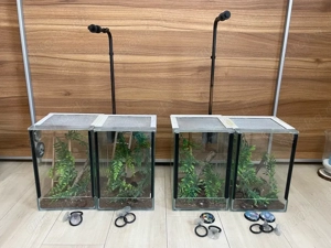 Terrarien 20x20x30