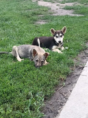 Hannah - darf ich dein Leben ein bischen bunter machen? Bild 6