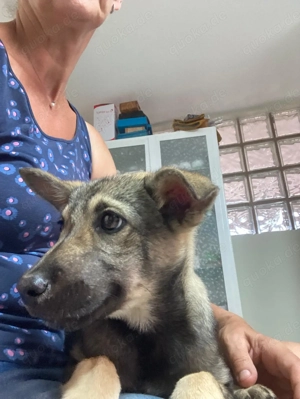 Hannah - darf ich dein Leben ein bischen bunter machen? Bild 5