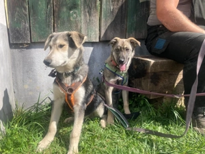 Hannah - darf ich dein Leben ein bischen bunter machen? Bild 9