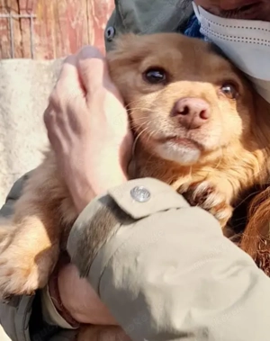 Alice, 4 Jahre, 35 cm, lieb, verschmust