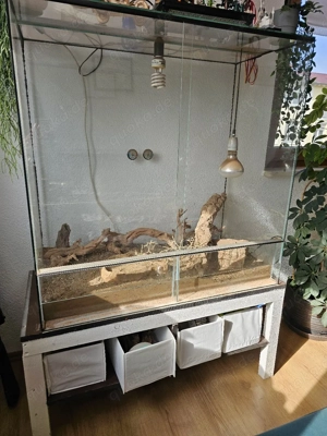 Terrarium zur haltung von Reptilien, Amphibien, Nagern