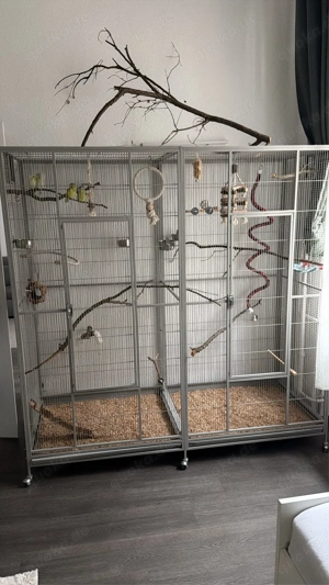 New Sydney 2 Vogelkäfig inkl. Zubehör & Spielzeug - Top Zustand 