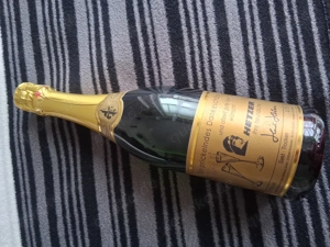 Sekt von Opel Hetzer   1 Flasche  
