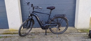 Pegasus E-Bike 
