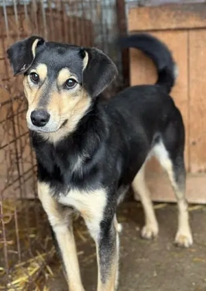 Claudius: einfach nur liebenswert