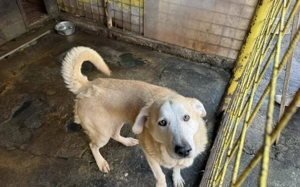 Wer zeigt Boomer, wie sich Liebe wirklich anfühlt? Bild 5