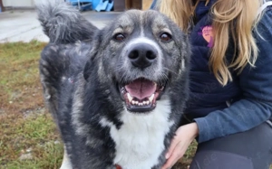 Sabine - offen, fröhlich und wunderhübsch. Adopt. Don t shop.