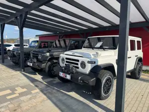 BAW 212 Leder/Seilwinde/LED/4WD/AT...