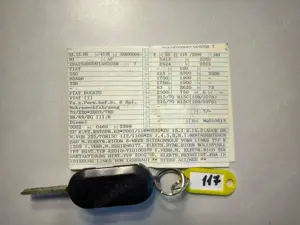 Fiat Ducato 160 Power 3.0 JTD Rollstuhlgerechter Bus Bild 3