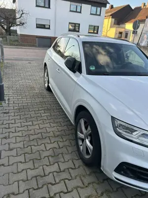 Audi SQ5 3.0 TDI quattro Bild 2