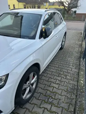 Audi SQ5 3.0 TDI quattro Bild 3